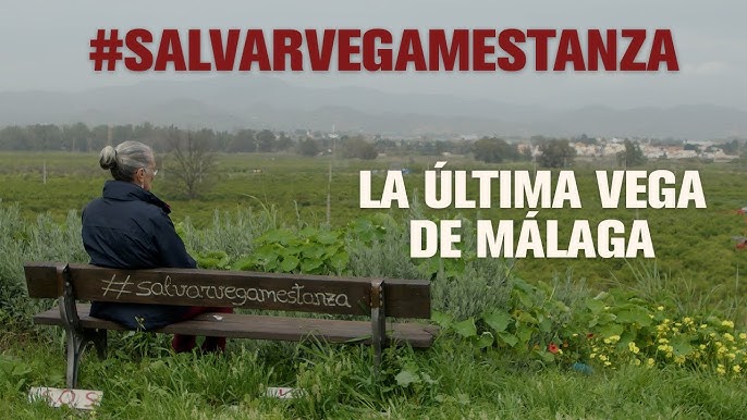 20.000 árboles contra una depuradora: la lucha de Mari Carmen por salvar la Vega de Mestanza