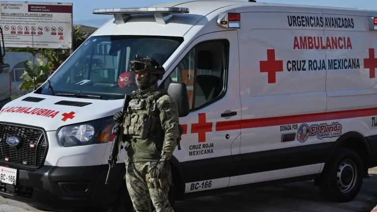 El narco-Estado como modelo político: cuando la violencia sustituye a las urnas