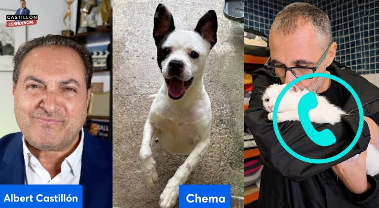 Rescate del perro Mickey: la victoria de la sociedad civil contra el abandono animal
