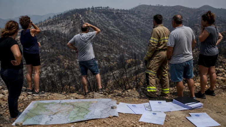 Vista aérea de un paisaje forestal quemado, con siluetas de personas observando y, en el horizonte, la silueta de aerogeneradores o paneles solares. Se ven documentos dispersos en el primer plano, sugiriendo burocracia y planes.